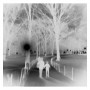 Stavros Andriotis. New York 3. Holga.